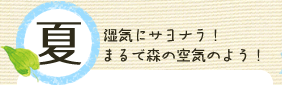 夏　湿気にサヨナラ！　まるで森の空気のよう！